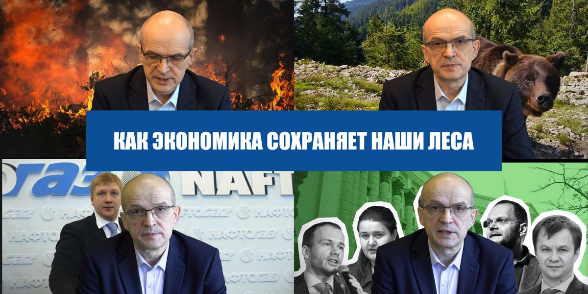 Про знищення лісів в Україні з точки зору економічної теорії